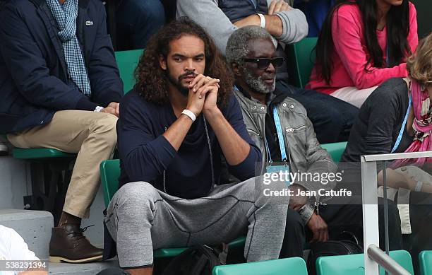 Chicago Bulls NBA player Joakim Noah and his grandfather Zacharie Noah attend the women's final on day 14 of the 2016 French Open held at...