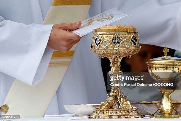 catholic mass. eucharist. - chalice stock pictures, royalty-free photos & images