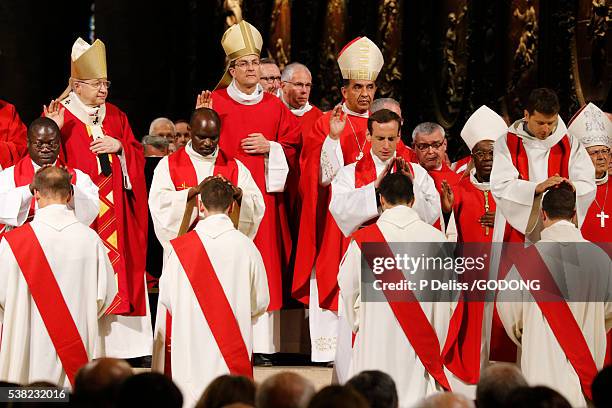 priest ordinations in notre-dame de paris cathedral. - ordination photos et images de collection
