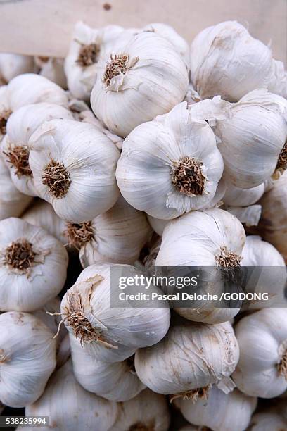 market in haute-savoie. garlic. - garlic stock pictures, royalty-free photos & images