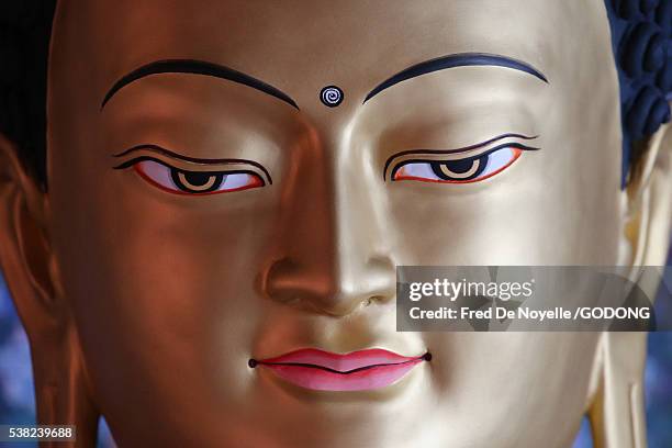 shedrub choekhor ling monastery. buddha statue. - buddha face stock pictures, royalty-free photos & images