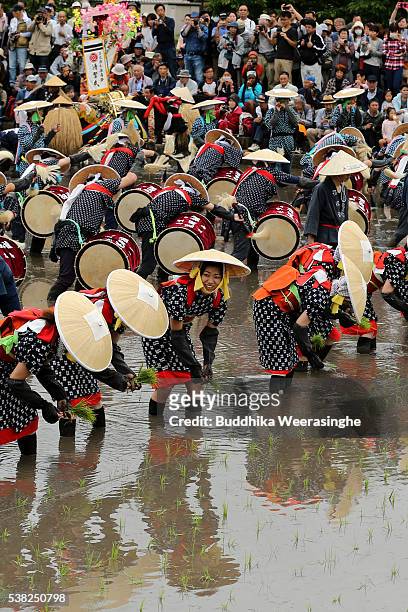 Local women dressed in 'Saotome' traditional rice planting costumes plant rice as men perform Japanese drum iat the rice field after soil puddling by...