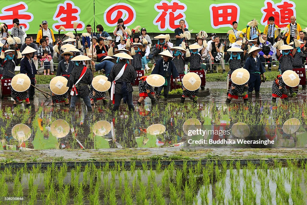Visayan Rice Planting Ritual Local residents dressed in 'Saotome' traditional rice planting... News ...
