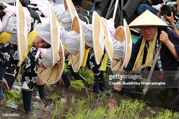 Visayan Rice Planting Ritual Mibu Photos and Premium High Res Pictures - Getty Images