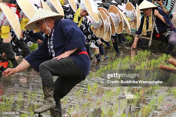 Local women dressed in 'Saotome' traditional rice planting costumes plant rice in a rice field after soil puddling by decorated cattle during the...