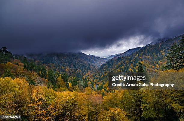 the great smoky mountain fall colors - newfound gap 個照片及圖片檔