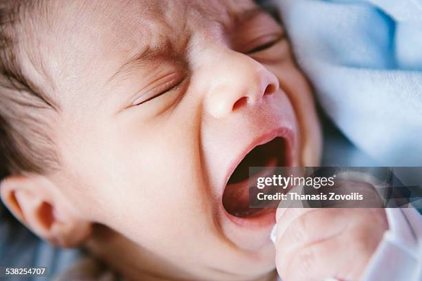 Crying Labile Crying Back Photos and Premium High Res Pictures - Getty Images