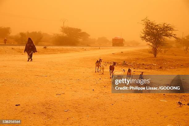harmattan wind in senegal. - harmattan wind stock pictures, royalty-free photos & images