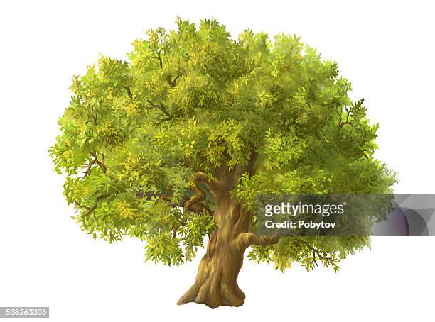 illustrazioni stock, clip art, cartoni animati e icone di tendenza di dipinto di un grande albero verde - sky and trees green leaf illustration