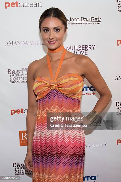 Actress Katie Cleary attends the 2nd Annual Art for Animals Fundraiser Evening For Eastwood Ranch Foundationat De Re Gallery at De Re Gallery on June...