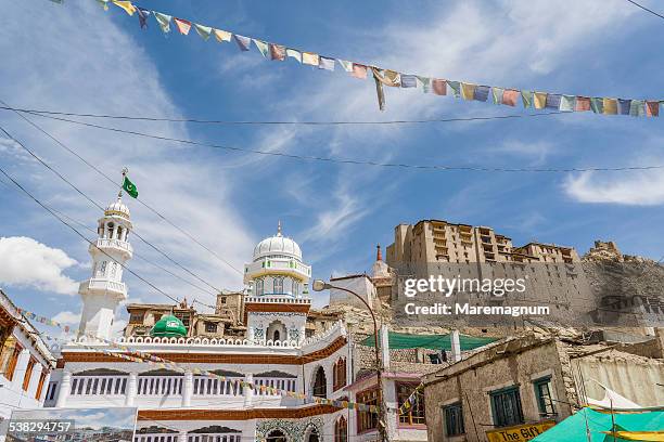 view of the town and the royal palace - distrikt leh photos et images de collection