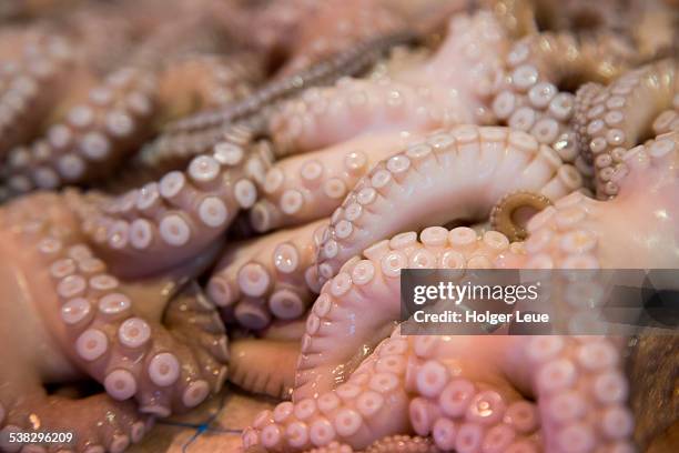 octopus for sale at market stand in old town - pescivendolo foto e immagini stock