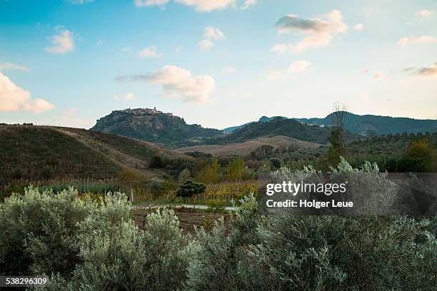 hilltop village of santa severina - calabria stockfoto's en -beelden