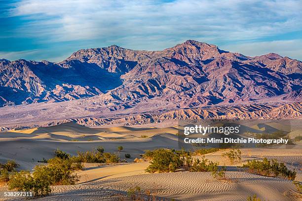 mesquite dunes and mountains - mesquite flat dunes stock pictures, royalty-free photos & images