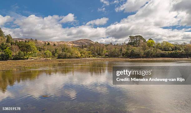 scenic view on bantry bay from glengarriff, beara peninsula, county cork, province of munster, ireland - ilnacullin stock pictures, royalty-free photos & images
