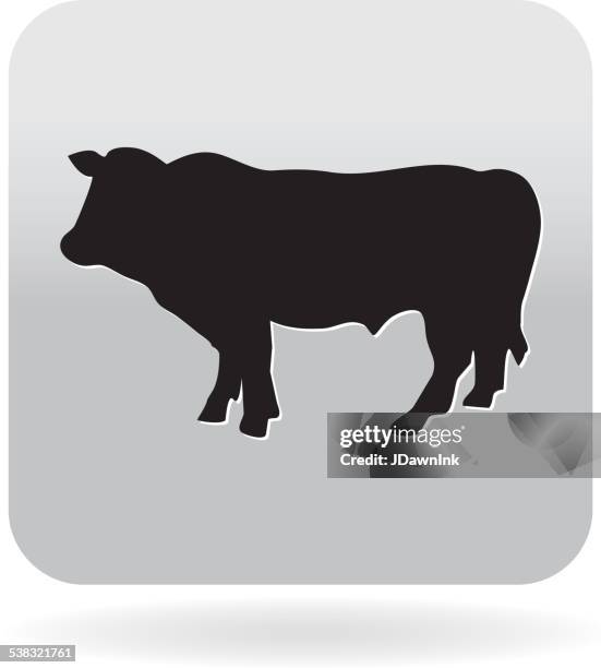 illustrations, cliparts, dessins animés et icônes de images libres de droits de taureau butcher barbecue de boeuf icône de renard - vache aberdeen angus