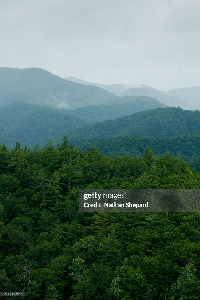 Blue Ridges (Great Smoky Mountains National Park)