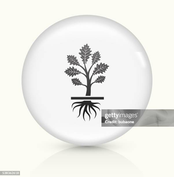 growing plant icon on white round vector button - sapling stock illustrations