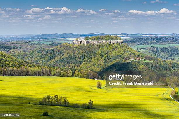 Agricultural landscape with rapeseed field, trees and cloudy blue sky, castle Königstein in the distance.