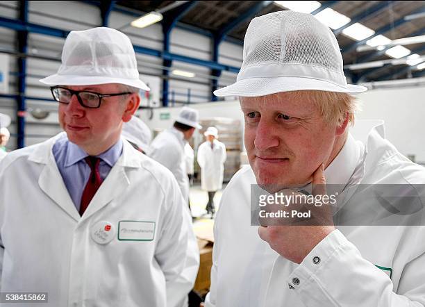 Michael Gove MP and Former Mayor of London Boris Johnson visit the DCS Group, as part of the 'Vote Leave' campaign on June 6, 2016 in...