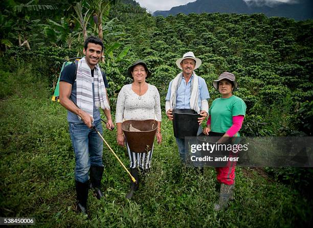 colombian farmers working at a coffee farm - coffee farm stock pictures, royalty-free photos & images