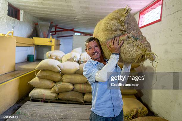 man working at a colombian coffee farm - sack imagens e fotografias de stock