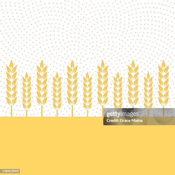 wheat plantation - vector - wheat stock illustrations