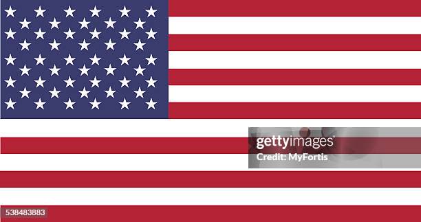 stockillustraties, clipart, cartoons en iconen met national flag of usa - bondsgebouw