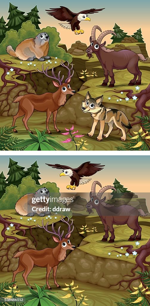 Custom Differences Image Spot The Differences High-Res Vector Graphic - Getty Images