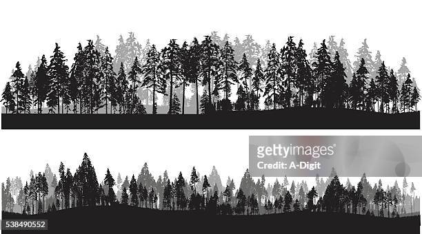 illustrazioni stock, clip art, cartoni animati e icone di tendenza di treeline intestazione - panoramica