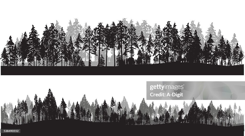Treeline Header