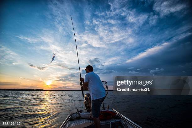sonnenuntergang auf dem see - fishing hook stock-fotos und bilder