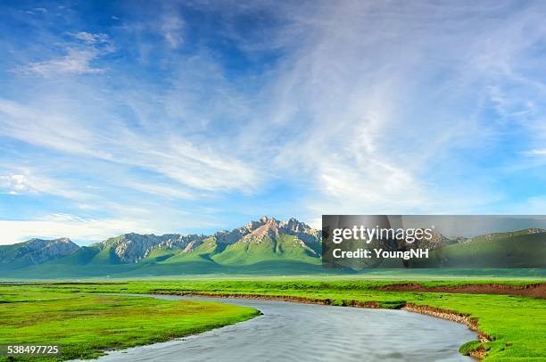 scenery of the tibetan plateau - plateau stock pictures, royalty-free photos & images