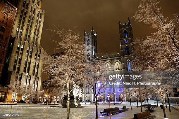 place d'armes at night - montreal - notre dame de montreal stock-fotos und bilder