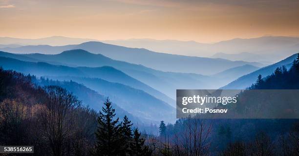 great smoky mountains - clingman's dome 個照片及圖片檔