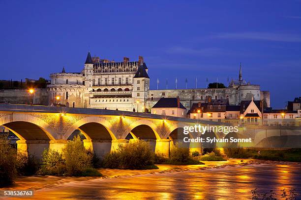 france, loire valley, chateau d'amboise at dusk - amboise stock pictures, royalty-free photos & images