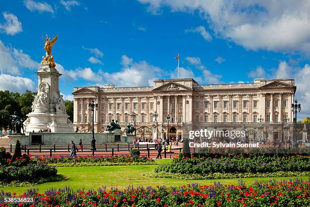 buckingham palace - palácio de buckingham imagens e fotografias de stock