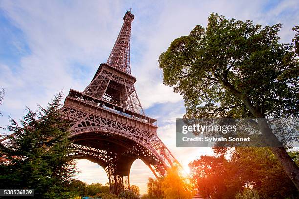 eiffel tower at sunset, paris - tour eiffel photos et images de collection