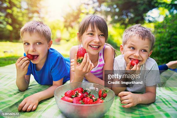children having picnic and eating strawberries in garden - happy tween girls lying on grass stock pictures, royalty-free photos & images