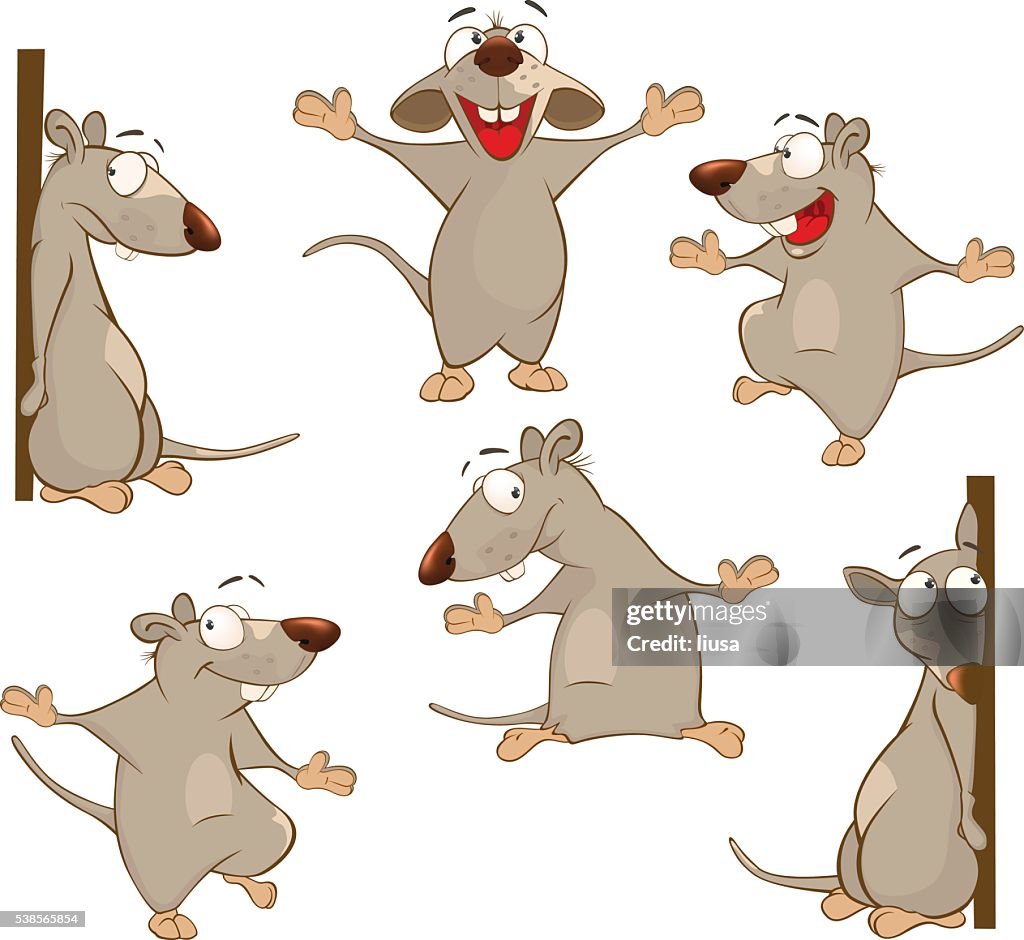 Group Rats Cartoon Set Of Cartoon Illustration Cute Rats For You Design High-Res Vector ...