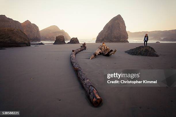 pistol river state park, oregon. - pistol river state park stock pictures, royalty-free photos & images