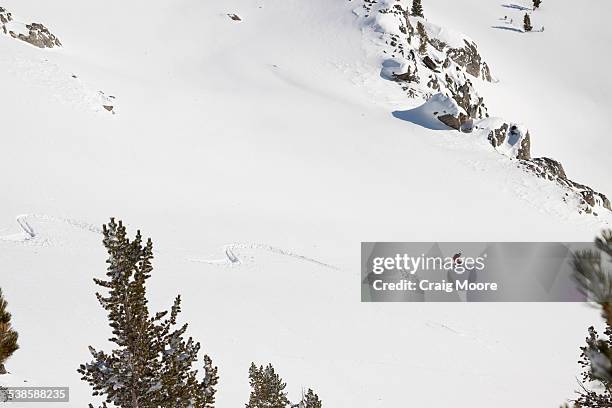 a female backcountry skier makes her way down a slope in the beehive basin near big sky, montana. - basin montana bildbanksfoton och bilder