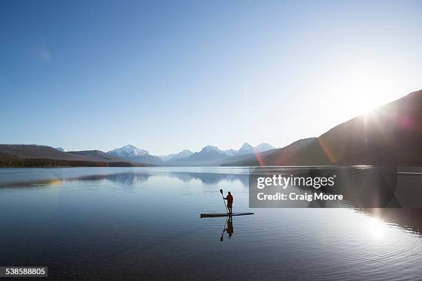a man stand up paddle boards (sup) on a calm lake mcdonald in glacier national park. - montana landscape stock-fotos und bilder
