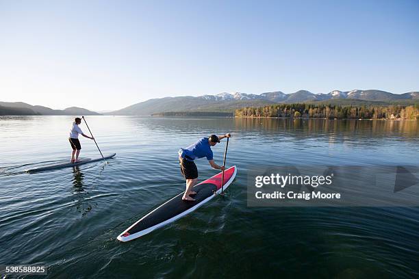 a fit male and female stand up paddle board (sup) at sunset on whitefish lake in whitefish, montana. - whitefish lake stockfoto's en -beelden