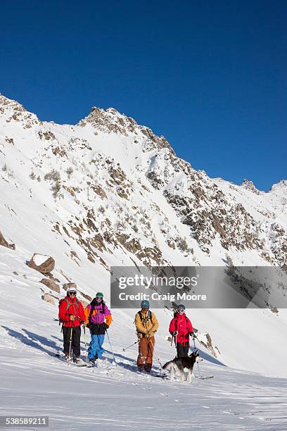 a group of four backcountry skiers and a dog in the beehive basin near big sky, montana. - basin montana bildbanksfoton och bilder