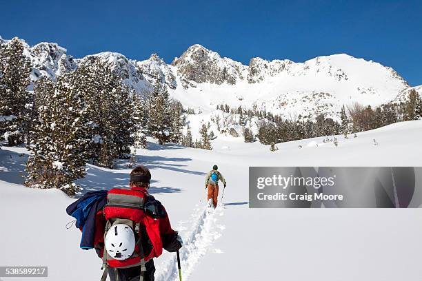 two backcountry skiers skin in the beehive basin near big sky, montana. - basin montana bildbanksfoton och bilder