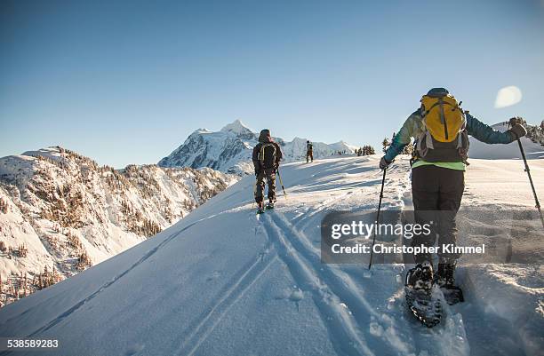 two skiers and a snowshoer explore a winter wonderland. - wintersport stock pictures, royalty-free photos & images
