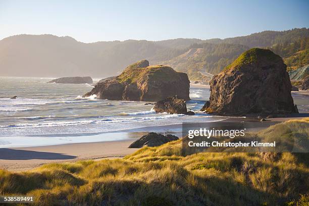 pistol river state park, oregon. - pistol river state park stock pictures, royalty-free photos & images