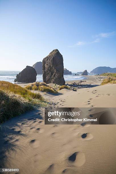 pistol river state park, oregon. - pistol river state park stock pictures, royalty-free photos & images