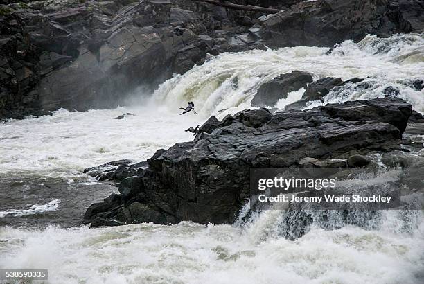 a pair of great blue heron take flight over the great falls of the potomac river. - chesapeake and ohio canal national park stock pictures, royalty-free photos & images